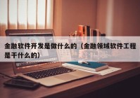 金融软件开发是做什么的（金融领域软件工程是干什么的）