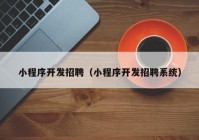 小程序开发招聘（小程序开发招聘系统）