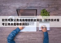 软件开发公务员有哪些职业岗位（软件技术报考公务员是哪些岗位）