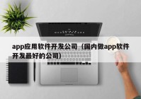 app应用软件开发公司（国内做app软件开发最好的公司）