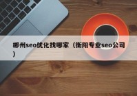 郴州seo优化找哪家（衡阳专业seo公司）